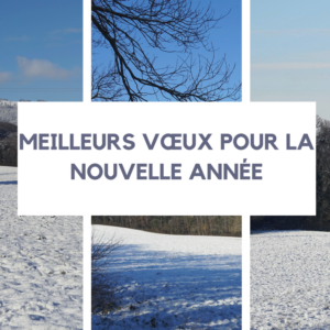 Cartes de Noël 25