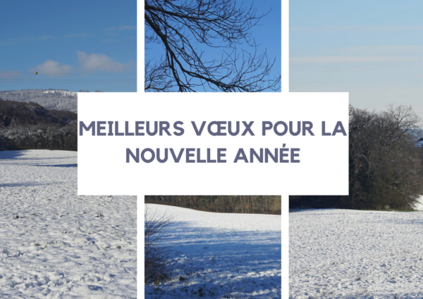 Cartes de Noël 25