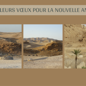 Carte de Noël 12