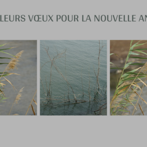 Carte de Noël 11