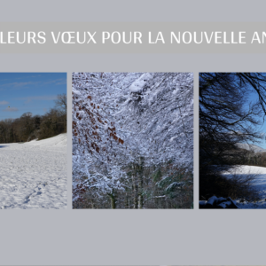 Carte de Noël 13