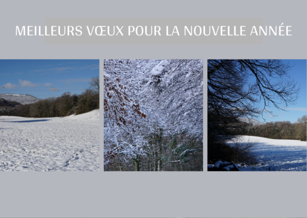 Carte de Noël 13