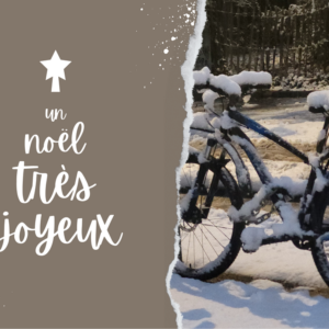 Cartes de Noël 16