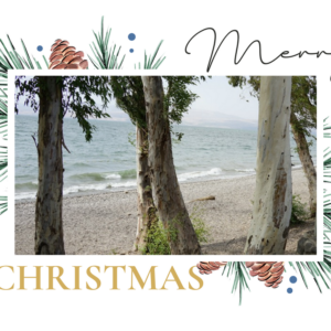 Carte de Noël 18