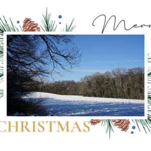 Carte de Noël 20