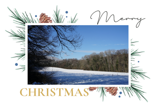 Carte de Noël 20