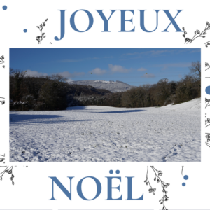Cartes de Noël 22