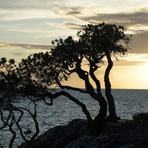 Carte double coucher de soleil