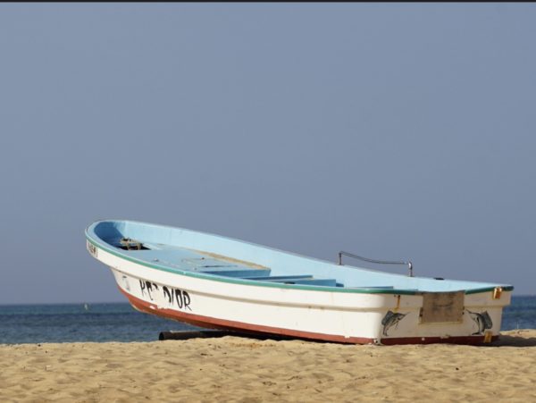 Tableau Alu 20 x 15, Bateau, Sénégal