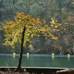 Carte simple Rhône 1