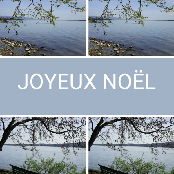 Cartes de Noël 2024 carrée
