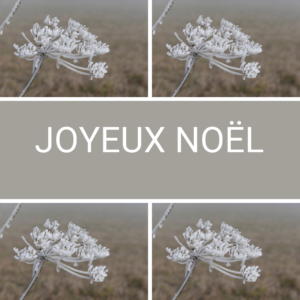 Cartes de Noël 2024 carrée
