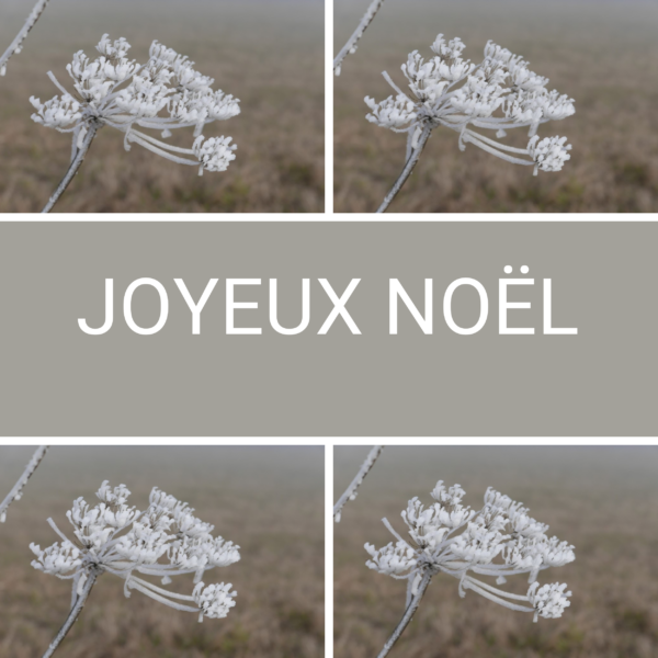 Cartes de Noël 2024 carrée