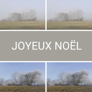 Cartes de Noël 2024 carrée