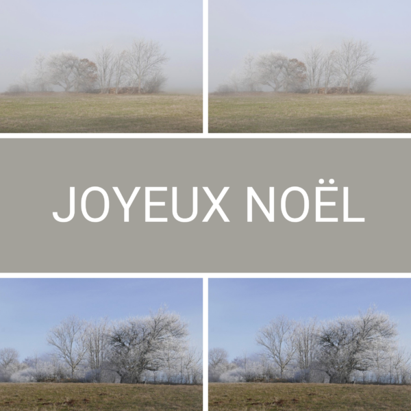 Cartes de Noël 2024 carrée
