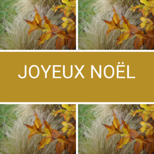 Cartes de Noël 2024 carrée