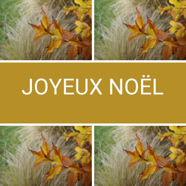 Cartes de Noël 2024 carrée