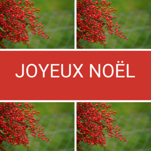 Cartes de Noël 2024 carrée