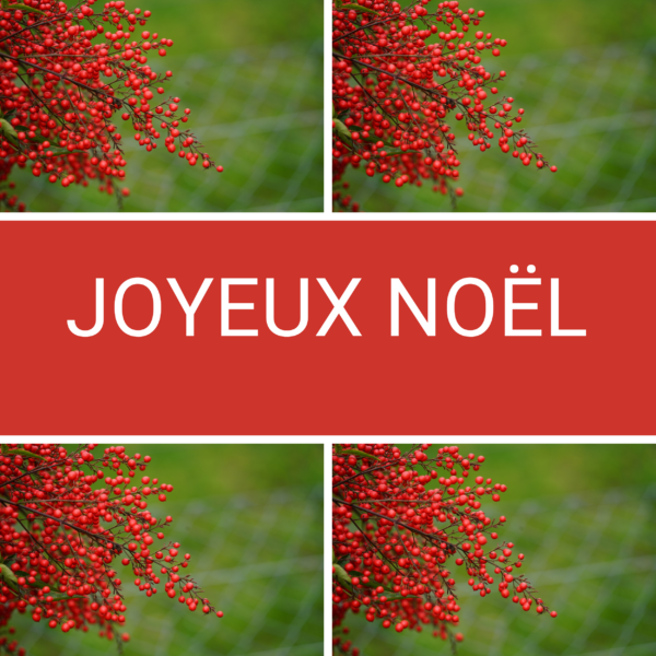 Cartes de Noël 2024 carrée