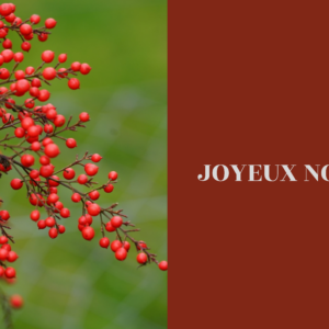 Cartes de Noël 2024 20 x 10 cm