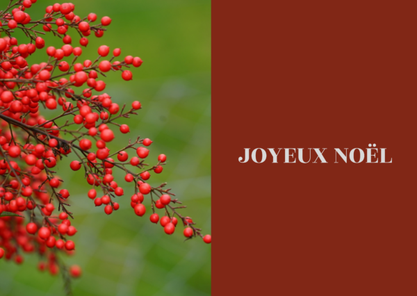 Cartes de Noël 2024 20 x 10 cm