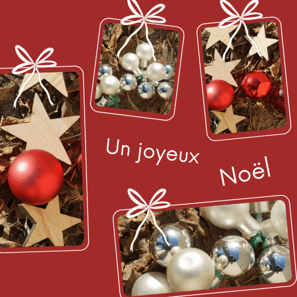Carte de Noël 2025