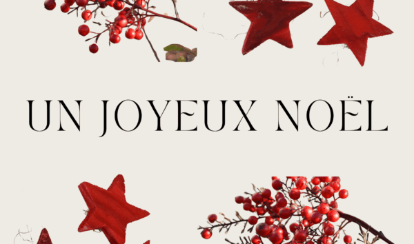 Carte Noël 2025, quatre images (20 x 10)