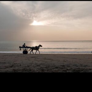 Cheval, plage Sénégal