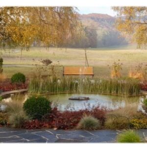 Carte rectangulaire simple